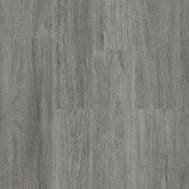 	Kiri Mushroom Oak dryback top